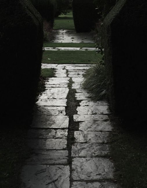 A narrow garden pathway made of weathered, irregular stone slabs with visible cracks and moss growth, bordered by dense, dark trimmed hedges on both sides. The path leads towards a brighter, grassy ar